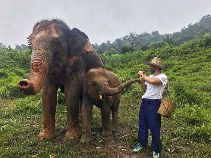 Happy Elephant Home chiang mai thailandia passionepassaporto