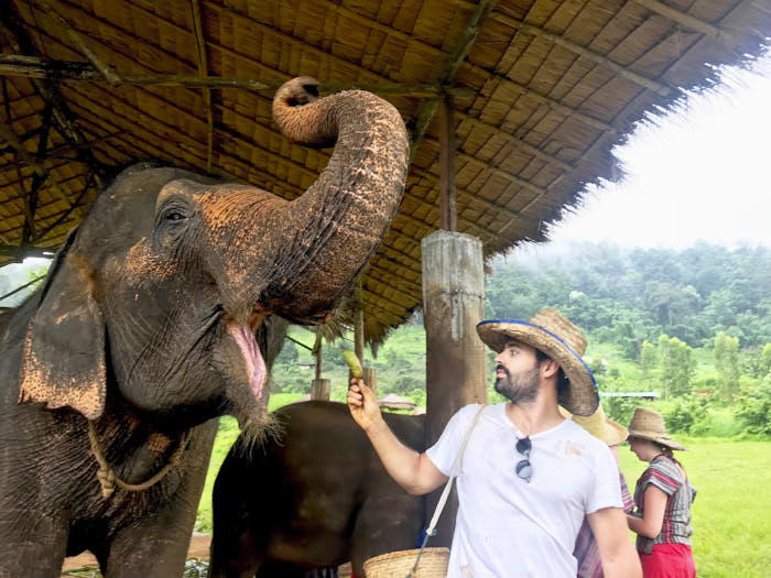 Happy Elephant Home Chiang mai thailandia passionepassaporto