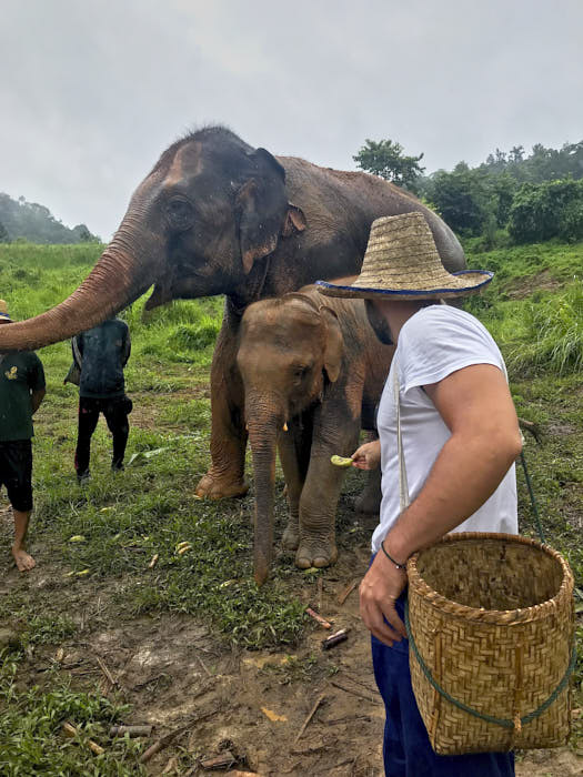 Happy Elephant Home Chiang mai thailandia passionepassaporto