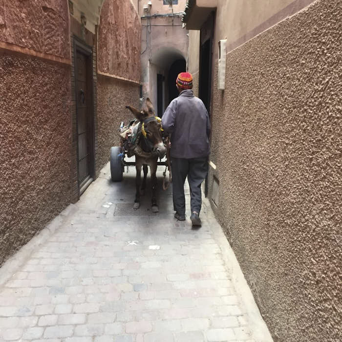 Marrakech Marocco Passione Passaporto