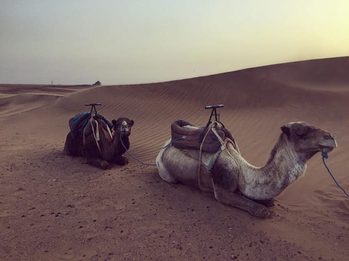 Il deserto in Marocco: la magia di una notte nel Sahara